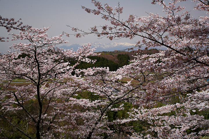 那須を望む　（那須町芦野・御殿山）