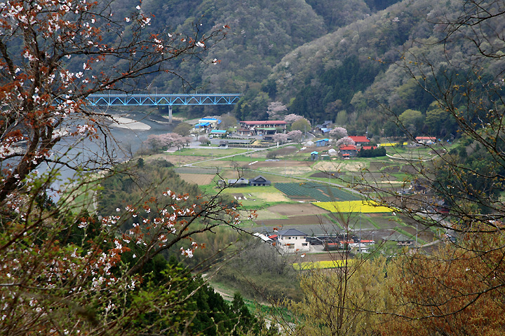 穏やかな春の大瀬　（茂木町）