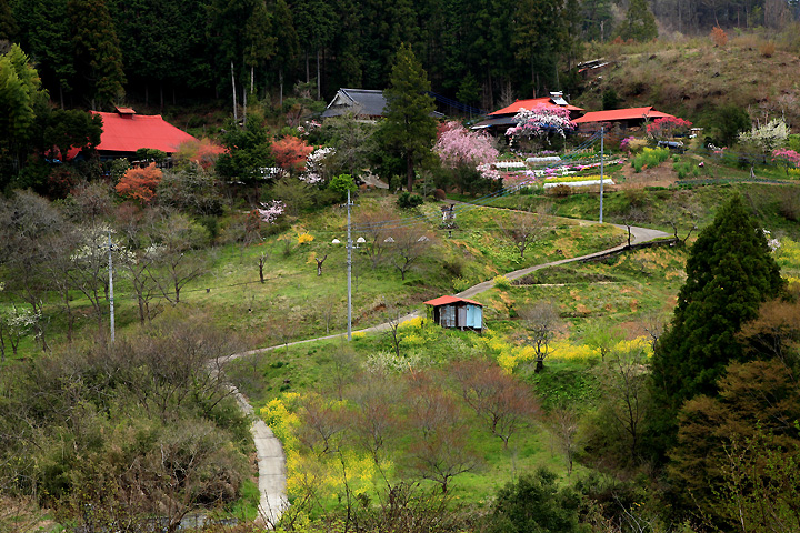 花の集落　（茂木町）