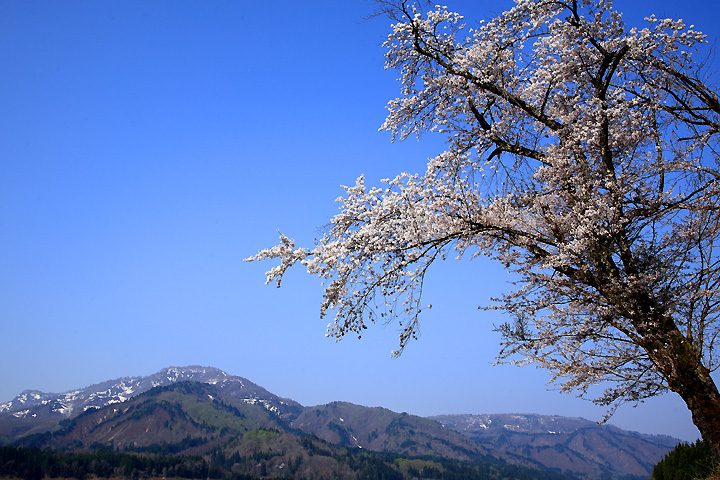 野辺の鎮守　（只見町）