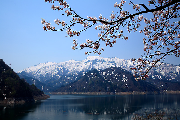 春のダム湖（只見町・田子倉ダム）