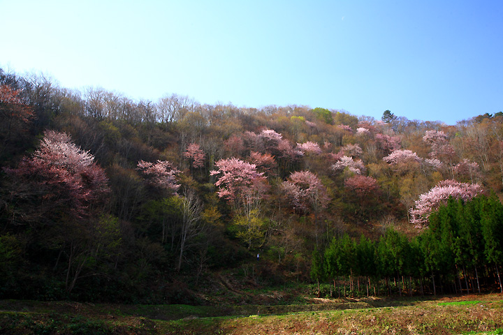 山里染まる（下郷町戸赤）