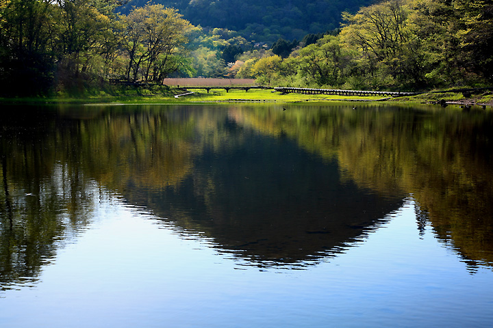 静かな大沼　（大沼園地）