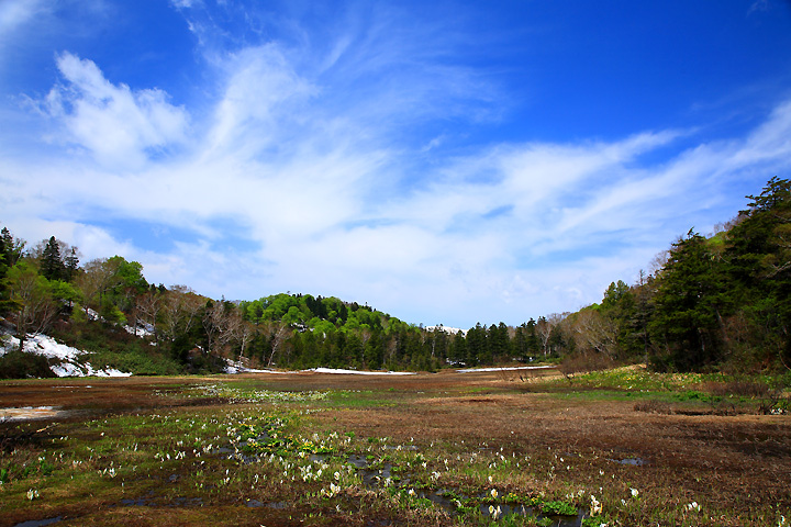 雲舞う湿原　（御池田代）