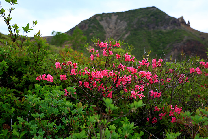 剣が峰を望む　（中の茶屋跡）