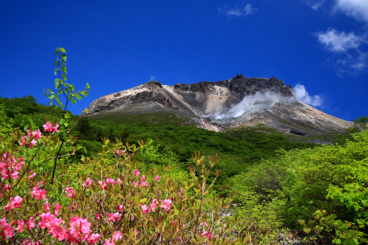 茶臼岳快晴　（姥ヶ平）