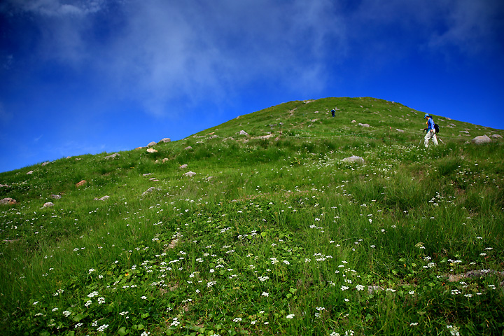 花の登山道　（姥ヶ岳）