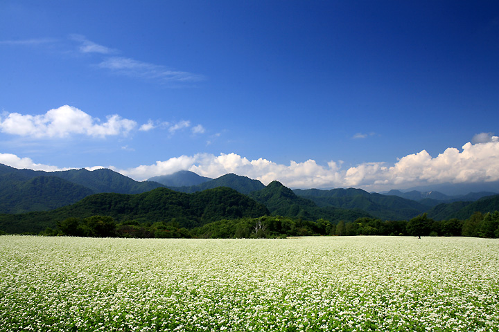 残暑　（南会津町・高杖高原）