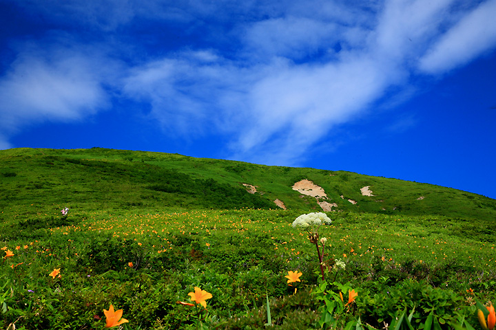 山上の花園（那須・大峠）