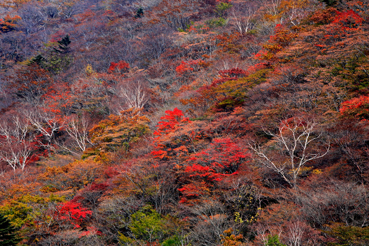 秋から冬へ（那須・北湯温泉）