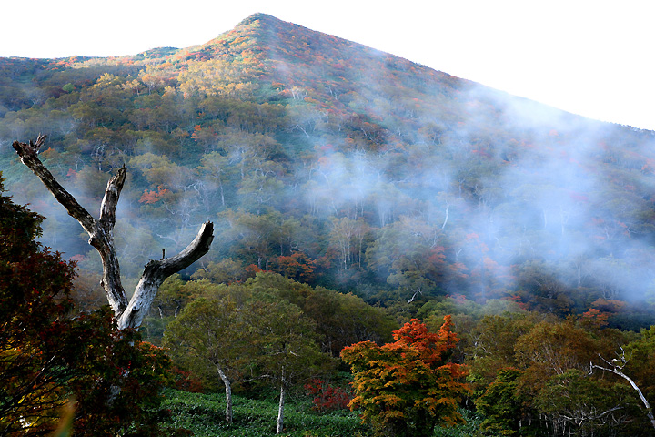 朝日朝霧（那須・鏡沼）