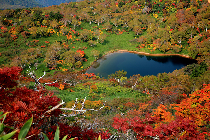 鏡沼秋景（大峠への尾根）