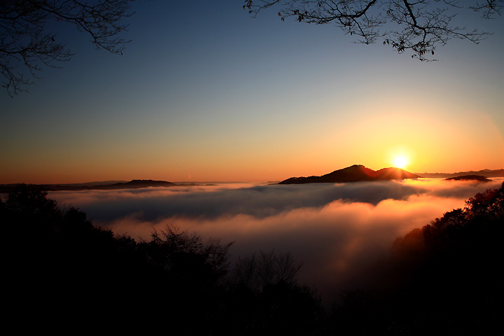 雲海（茂木町・鎌倉山）