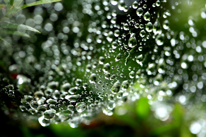 雨上がり