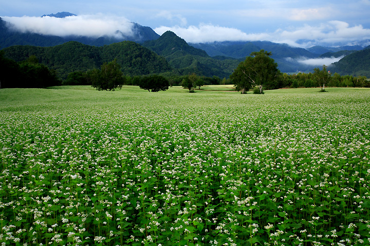 朝霧の山々（南会津町・高杖高原）