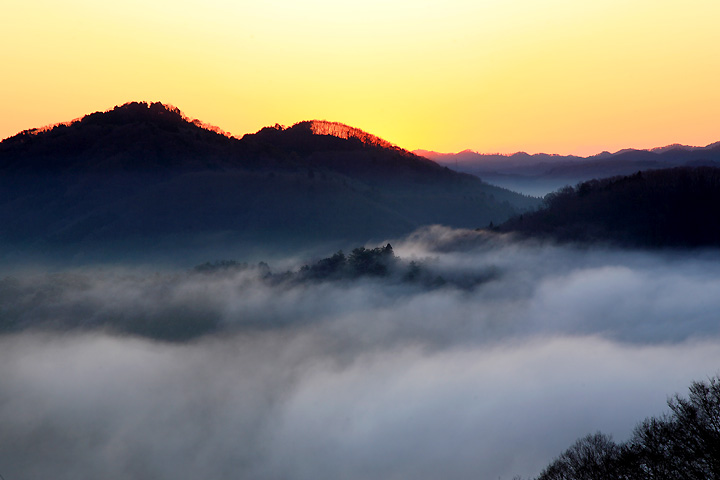 波打つ川霧（茂木町・鎌倉山）