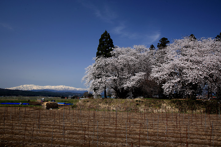 雪の飯豊連峰（会津美里町）