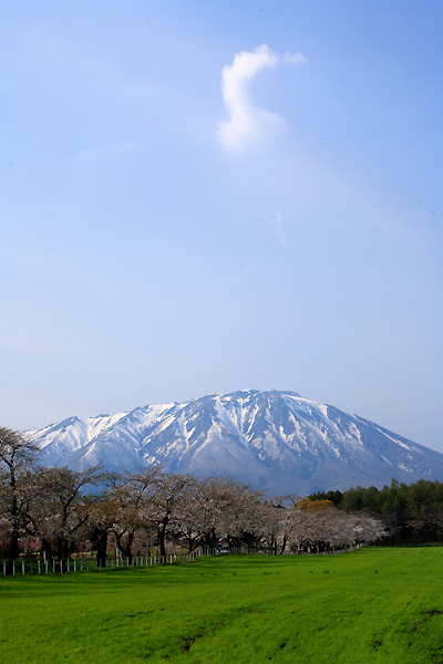 春の昼下がり（小岩井農場）