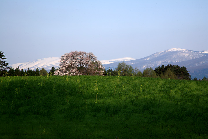 県境の山々（小岩井農場）
