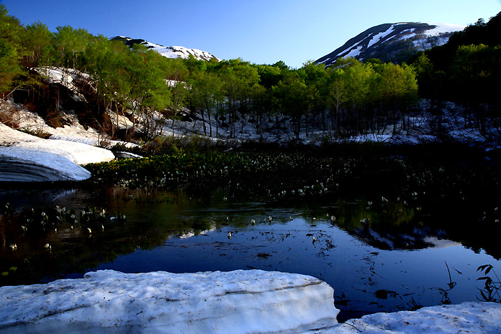 雪融け（月山山麓）