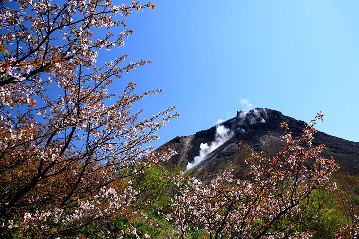 桜咲く那須（牛ヶ首）