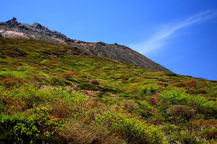 歓声沸く（那須登山道）