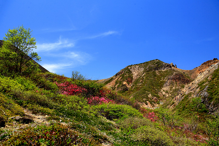剣が峰を望む（那須登山道）