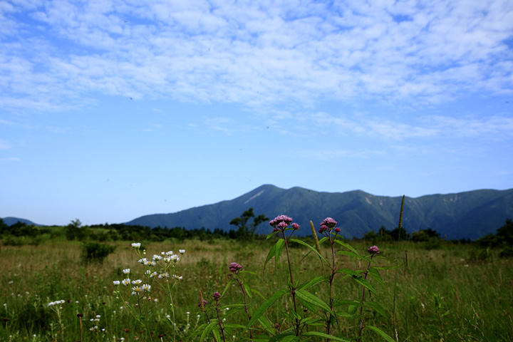 夏の終わり（那須・沼原）
