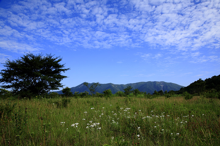 秋空（那須・沼原）