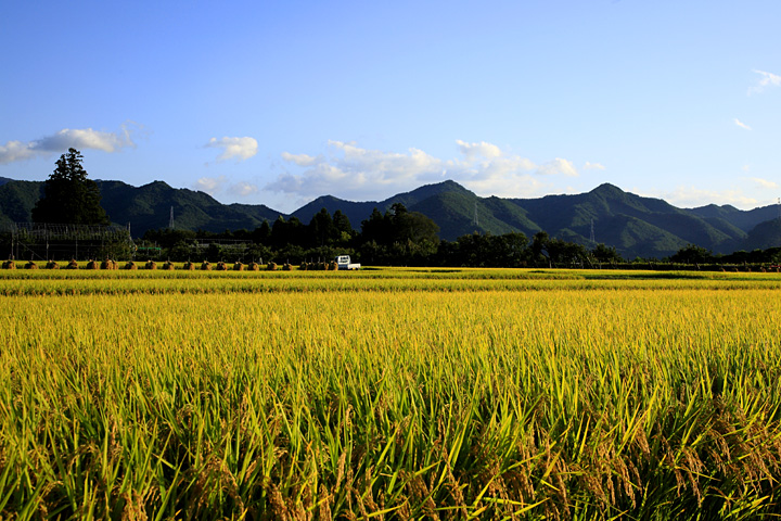 陽傾く（上山市牧野）