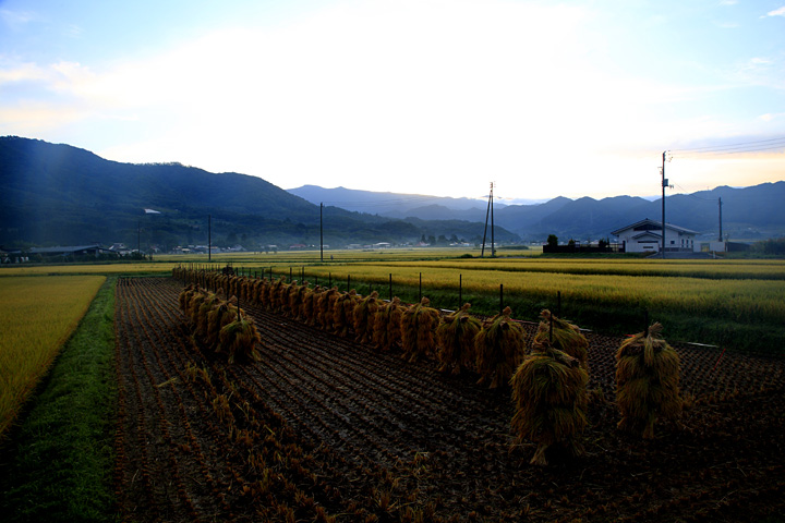 里の夜明け（上山市牧野）