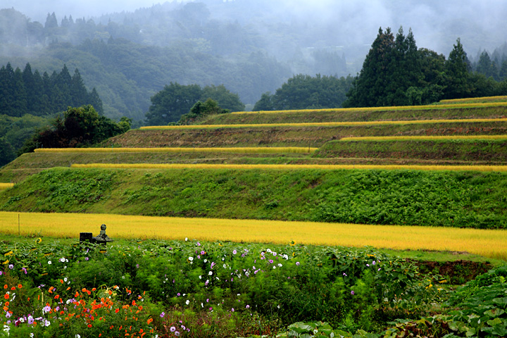 山間地風景（上山市権現堂）
