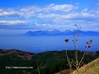 八溝山