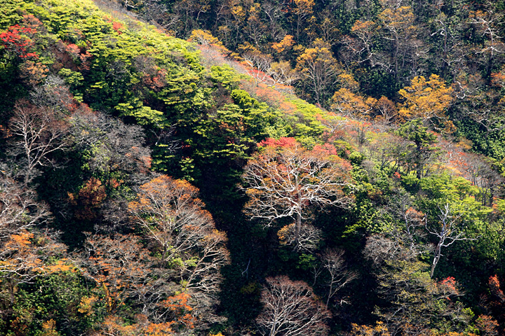 冬仕度（大峠）