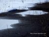 観音沼