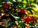 s_200801_2.jpg