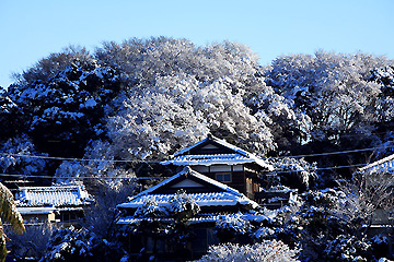 里の雪
