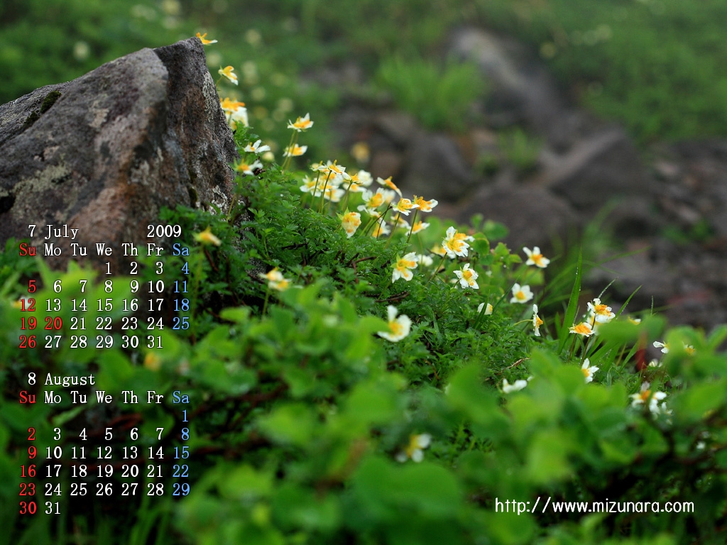 花の月山