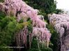 三春町・福聚寺