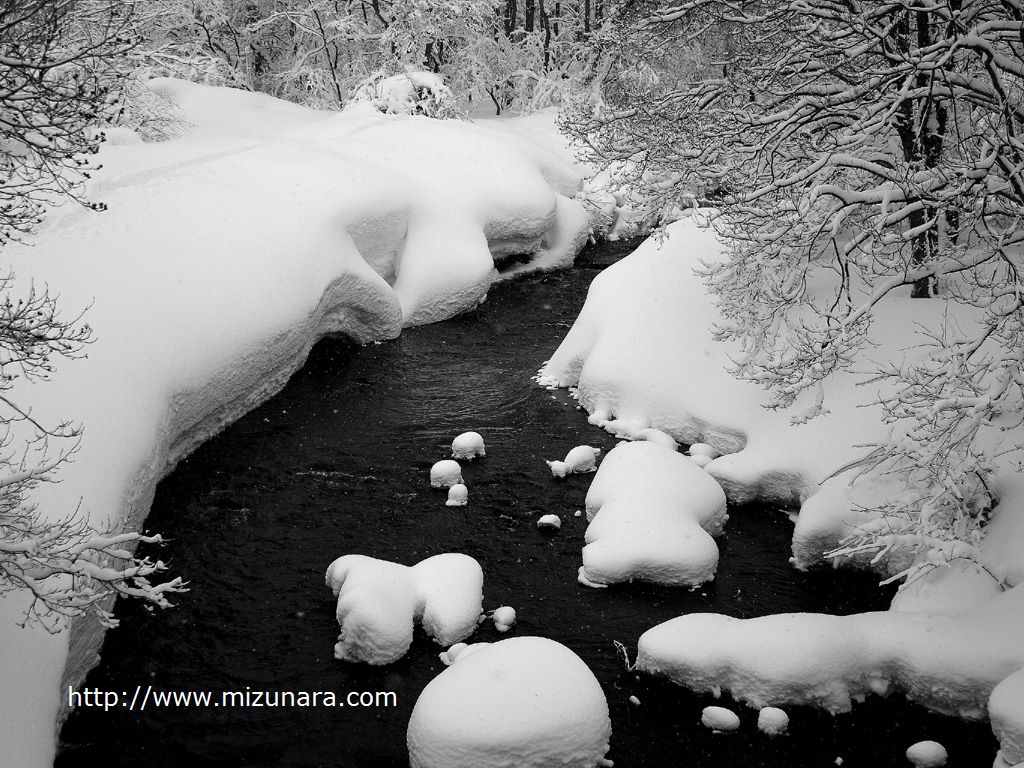 雪景色