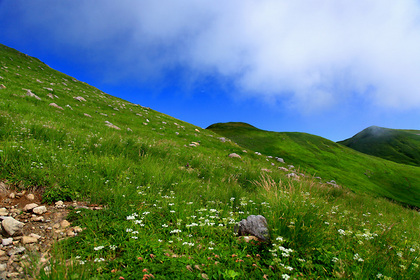 まだ月山山頂は見えず