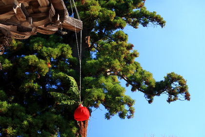 何だろう？（筑波山神社）