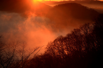 霧が燃える（茂木町・鎌倉山）