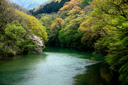 樽口峠