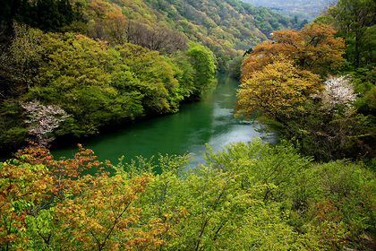 樽口峠