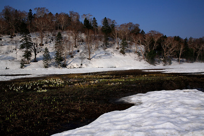 御池田代