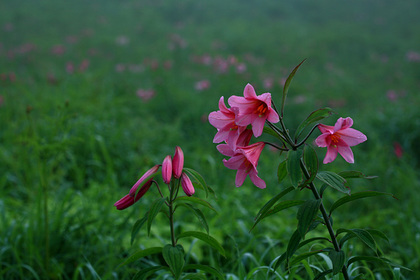 高清水自然公園