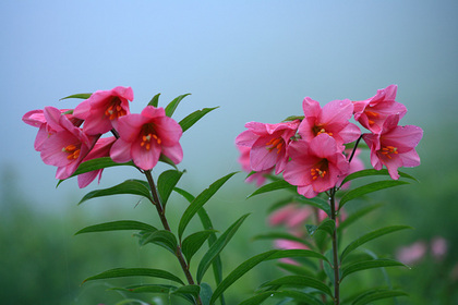 高清水自然公園