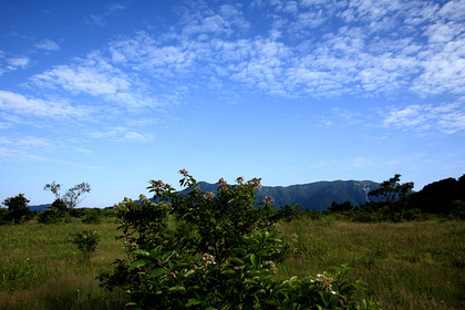 沼原