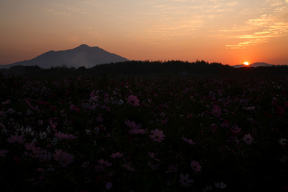 筑波山